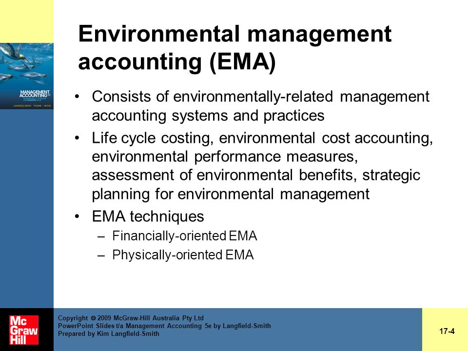 disadvantages of environmental management accounting
